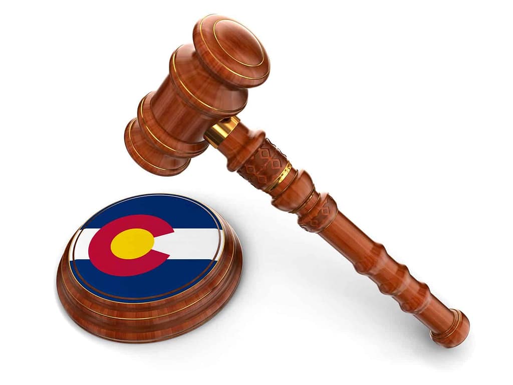 a gavel and a flag